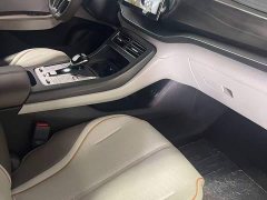 BYD PLUS Edition EV 420KM Version - ფოტო 15