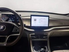 BYD PLUS Edition EV 420KM Version - ფოტო 8