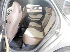 BYD PLUS Edition EV 420KM Version - ფოტო 9