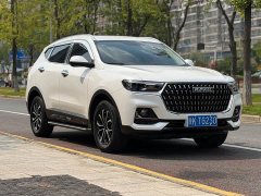 Haval H6 Edition 1.5T Edition - ფოტო 3