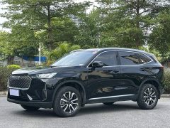 Haval H6 1.5T 2WDPro - ფოტო 1