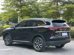 Haval H6 1.5T 2WDPro - ფოტო 5