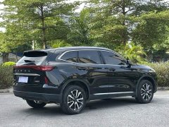 Haval H6 1.5T 2WDPro - ფოტო 6