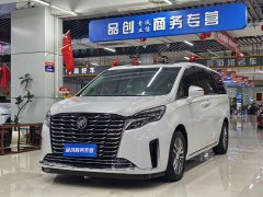 Buick GL8 ES Deluxe Version - ფოტო 1