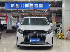 Buick GL8 ES Deluxe Version - ფოტო 2