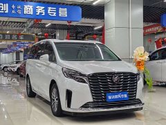 Buick GL8 ES Deluxe Version - ფოტო 3