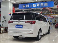 Buick GL8 ES Deluxe Version - ფოტო 7