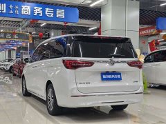 Buick GL8 ES Deluxe Version - ფოტო 9