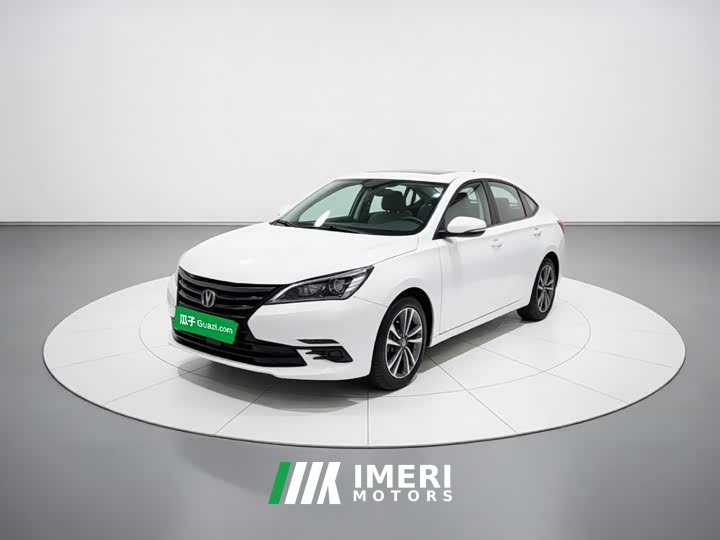 Changan DT 1.6L Luxury Version - ავტომობილი ჩინეთიდან