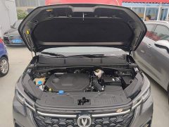 Changan CS55PLUS Edition 1.5T DCTLuxury Version - ფოტო 20
