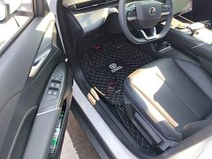 Changan 1.5T 500BarPremium Version - ფოტო 16