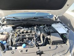 Changan 1.5T 500BarPremium Version - ფოტო 20