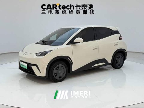 2023 BYD Edition - ავტომობილი ჩინეთიდან