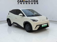 BYD Edition - ფოტო 5