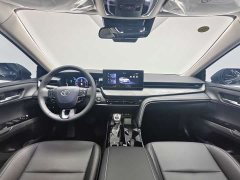 Porsche 2.0GVP Luxury Edition - ფოტო 11