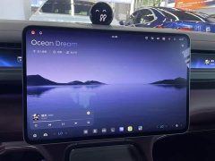 Nio ES8 Luxury Edition - ფოტო 13