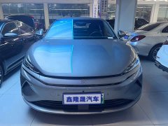 BYD L EV 545KM Version - ფოტო 8