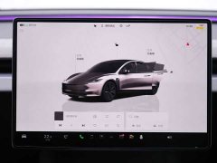 Tesla Model 3 Edition - ფოტო 20
