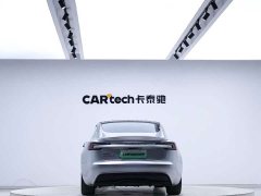 Tesla Model 3 Edition - ფოტო 9