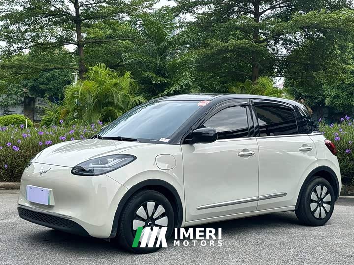 Wuling 410km Deluxe - ავტომობილი ჩინეთიდან