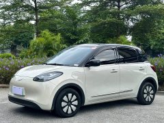 Wuling 410km Deluxe - ფოტო 1