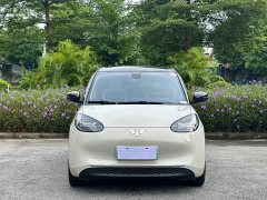 Wuling 410km Deluxe - ფოტო 2