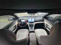 BYD Pro Edition DM-i 110KM Version - ფოტო 5