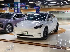 Tesla Model Y Long Range Edition - ფოტო 1
