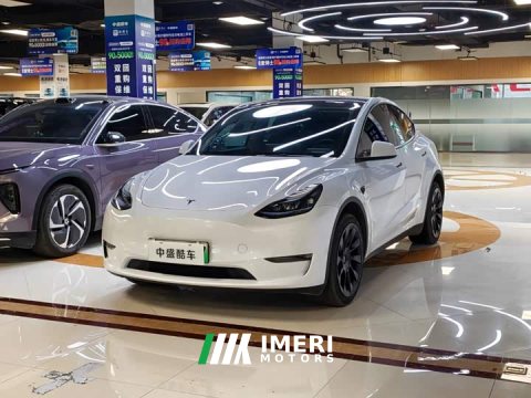 2023 Tesla Model Y Long Range Edition - ავტომობილი ჩინეთიდან