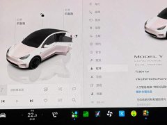 Tesla Model Y Long Range Edition - ფოტო 10