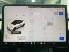 Tesla Model Y Facelift Long Range All-Wheel Drive - ფოტო 20