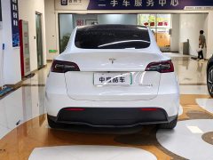 Tesla Model Y Long Range Edition - ფოტო 3