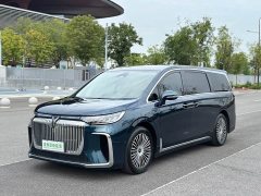 Voyah PHEV AWDPremium Edition - ფოტო 1