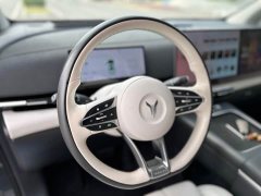 Voyah PHEV AWDPremium Edition - ფოტო 4