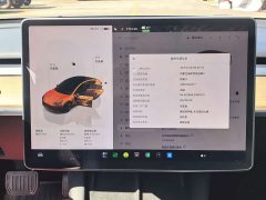 Tesla Model 3 Edition - ფოტო 14