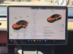 Tesla Model 3 Edition - ფოტო 15