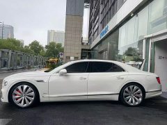 Great 4.0T V8 Edition - ფოტო 3
