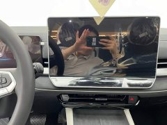 Denza L 300TSI DSG Luxury Version - ფოტო 13