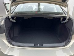 Denza L 300TSI DSG Luxury Version - ფოტო 6