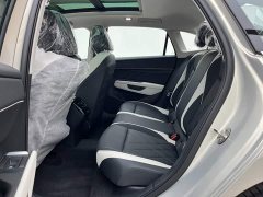 Denza L 300TSI DSG Luxury Version - ფოტო 7