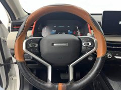Haval Edition 1.5T - ფოტო 15