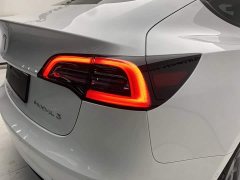 Tesla Model 3 Standard Range Edition 3D1 - ფოტო 10