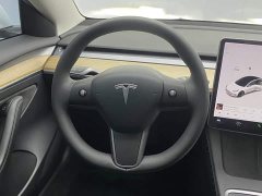 Tesla Model 3 Standard Range Edition 3D1 - ფოტო 14