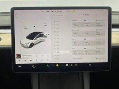 Tesla Model 3 Standard Range Edition 3D1 - ფოტო 15