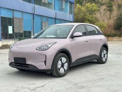 BYD 310km Edition - ფოტო 1