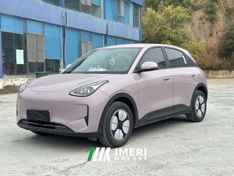 2025 BYD 310km Edition - ავტომობილი ჩინეთიდან