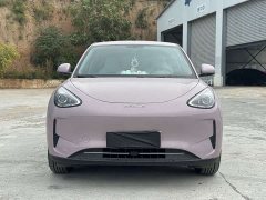 BYD 310km Edition - ფოტო 2