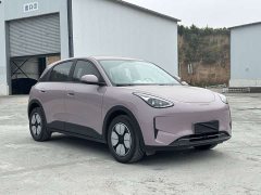 BYD 310km Edition - ფოტო 3