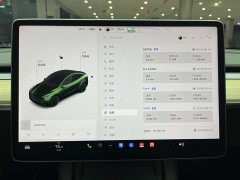 Tesla Model Y Standard Range Edition - ფოტო 18
