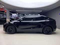 Tesla Model Y Standard Range Edition - ფოტო 3